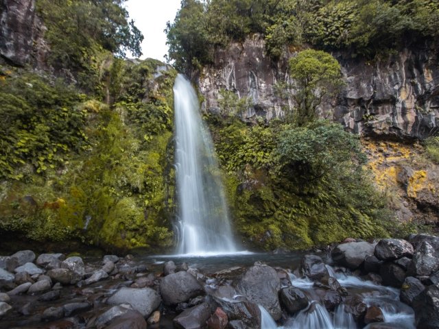 Hidden Waterfall at Dawson Falls