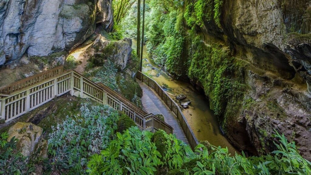 Mangapohue Natural Bridge