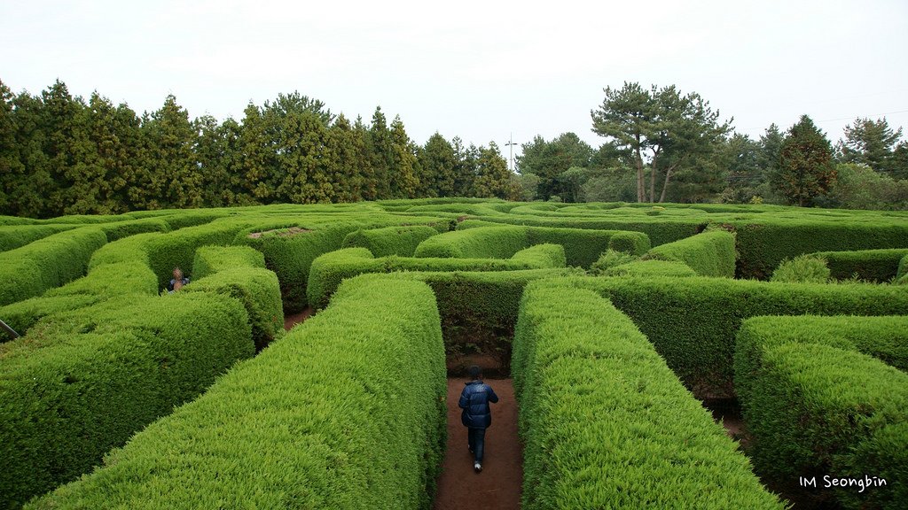 Maze at Tupare Gardens