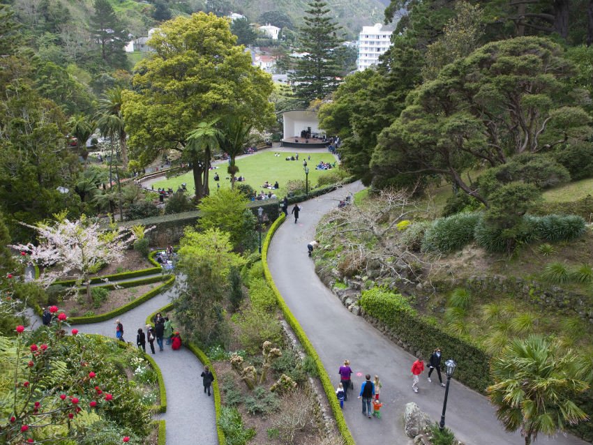 Wellington Botanic Garden
