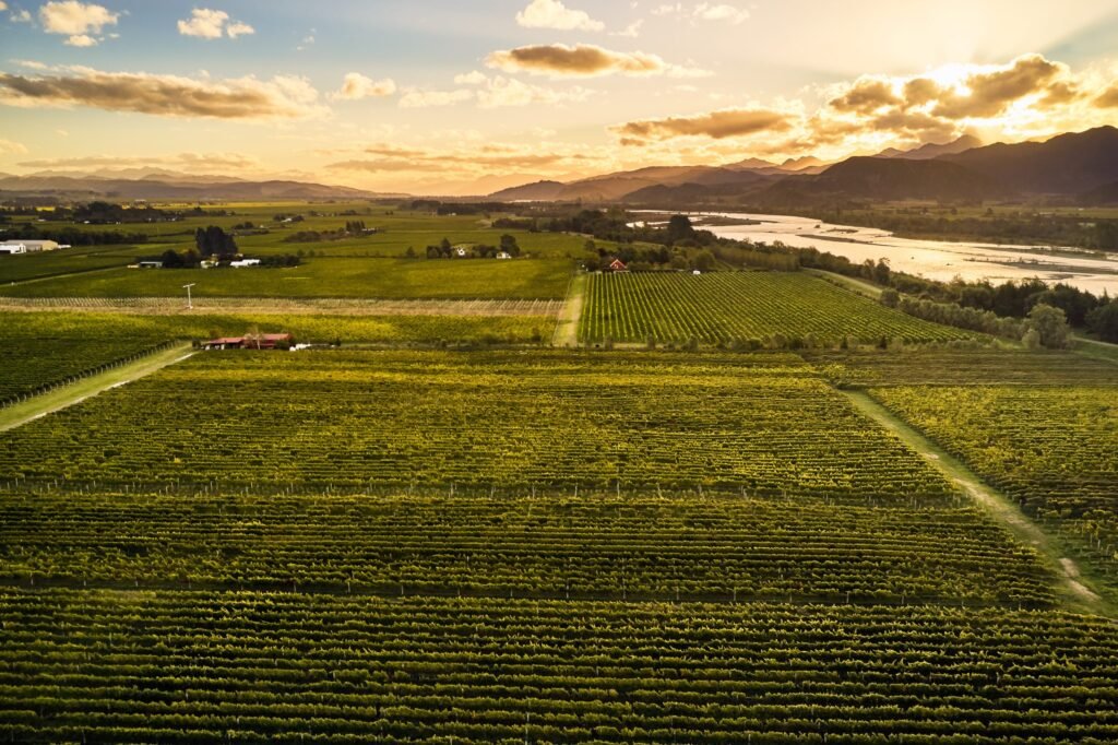 Wairau River Winery